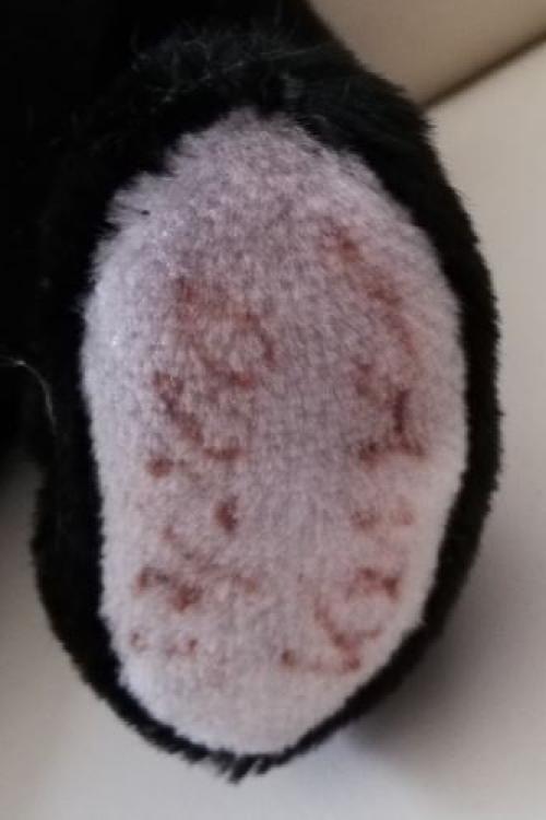 Teddybär Althans Teddybear Sammlerteddy schwarz