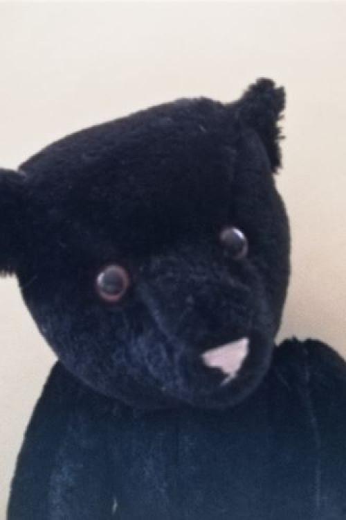 schwarzer schöner Teddybär