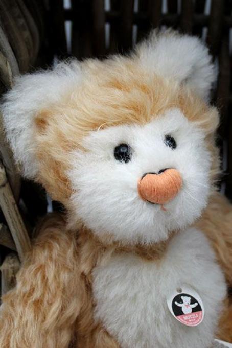 Mutzli Teddybär