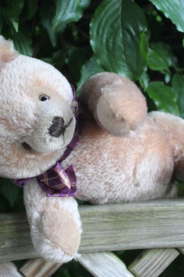 Steiff maskenbär 34 cm