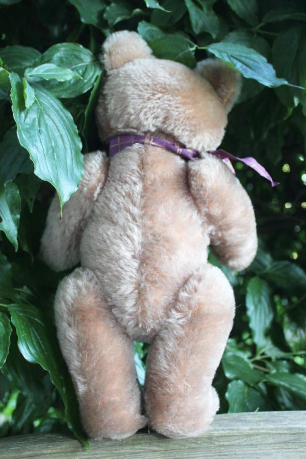 Steiff Maskenbär 34 cm