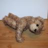 Sammlerteddybär