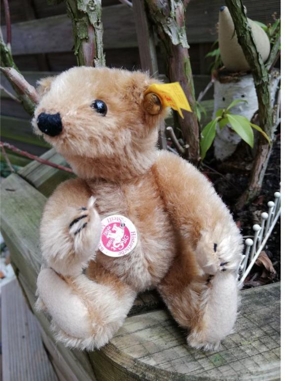 Steiffteddybär klein, süsser Sammlerteddybär