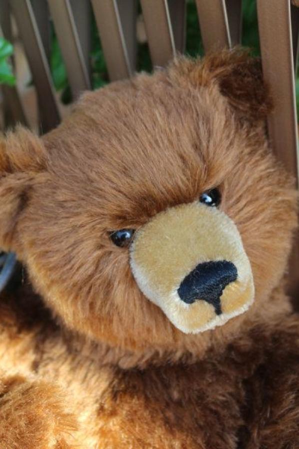 Classic Teddybär Sigikid